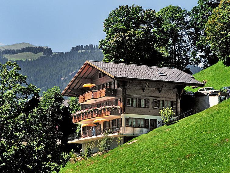 格林德瓦Chalet Aphrodite West公寓 外观 照片